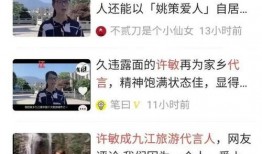 吃瓜评理,揭秘娱乐圈背后的真相与是非