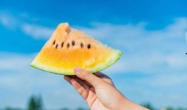 吃瓜系统特色,网络舆论场中的“瓜农”与“瓜果”