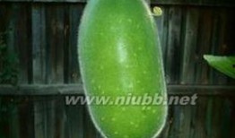 冬天砍瓜怎么吃