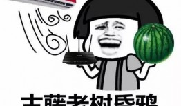 吃瓜靠算命,揭秘娱乐圈背后的神秘力量