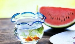 黑暗料理吃瓜app,揭秘美食界的另类风味