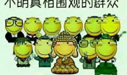 吃瓜群众好人坏人,吃瓜群众的视角解读