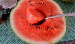 网络上有什么瓜吃,盘点近期热门“瓜”料，揭秘娱乐圈幕后故事