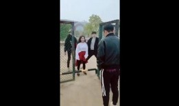 铁门吃瓜,揭秘网络热梗背后的故事与影响