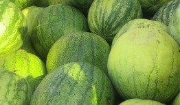 吃籽瓜说说,探寻夏日消暑佳品