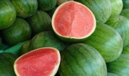 怎么用眼睛吃瓜,揭秘如何用眼睛品鉴美味瓜果