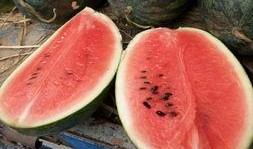 短剧圈子最新吃瓜