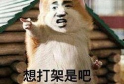 吃瓜别人吵架说说,揭秘吃瓜群众眼中的吵架风云