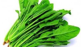 吃向阳瓜能致癌吗,真相与误区解析”