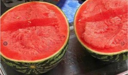 虚拟头像吃瓜图片,揭秘网络社交新潮流