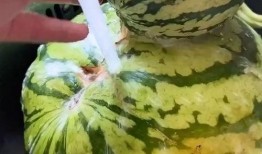 夏天吃瓜搞笑视频,吃瓜搞笑视频盘点