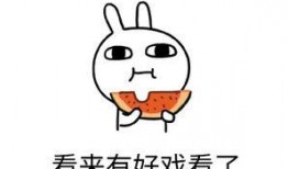 吃瓜围观的近义词,一探究竟的“吃瓜群众”视角