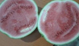 周阴婷吃瓜,揭秘娱乐圈幕后真相